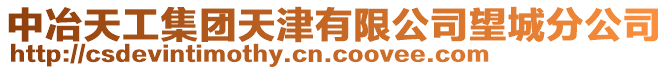 中冶天工集團天津有限公司望城分公司