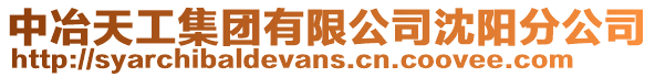 中冶天工集團有限公司沈陽分公司