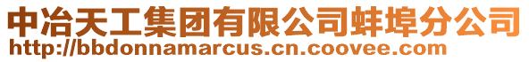 中冶天工集團有限公司蚌埠分公司