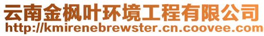 云南金楓葉環(huán)境工程有限公司