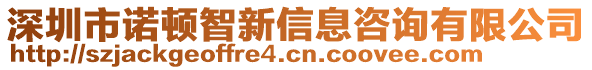 深圳市諾頓智新信息咨詢有限公司