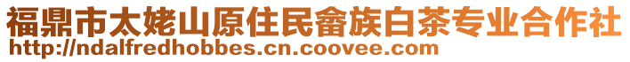 福鼎市太姥山原住民畬族白茶專業合作社