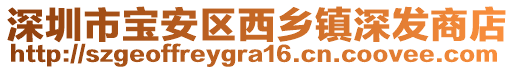 深圳市寶安區(qū)西鄉(xiāng)鎮(zhèn)深發(fā)商店