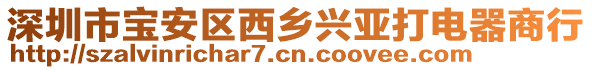 深圳市寶安區(qū)西鄉(xiāng)興亞打電器商行