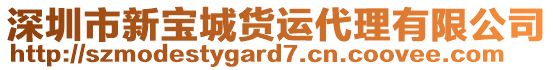 深圳市新寶城貨運(yùn)代理有限公司