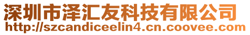 深圳市澤匯友科技有限公司