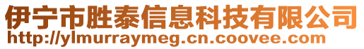 伊寧市勝泰信息科技有限公司