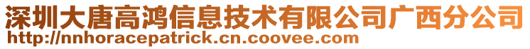 深圳大唐高鴻信息技術(shù)有限公司廣西分公司