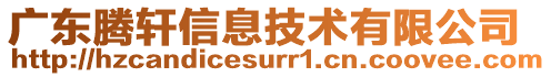 廣東騰軒信息技術有限公司