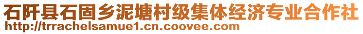 石阡縣石固鄉(xiāng)泥塘村級(jí)集體經(jīng)濟(jì)專業(yè)合作社