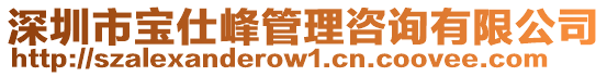 深圳市寶仕峰管理咨詢有限公司