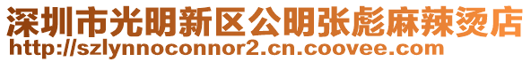 深圳市光明新區公明張彪麻辣燙店