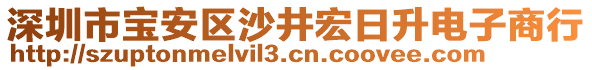 深圳市寶安區(qū)沙井宏日升電子商行