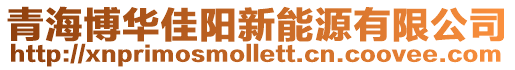 青海博華佳陽新能源有限公司