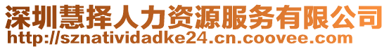 深圳慧擇人力資源服務有限公司