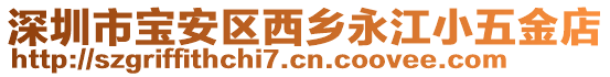 深圳市寶安區(qū)西鄉(xiāng)永江小五金店