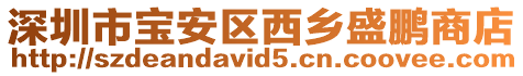 深圳市寶安區(qū)西鄉(xiāng)盛鵬商店