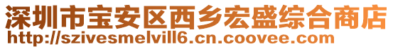 深圳市寶安區(qū)西鄉(xiāng)宏盛綜合商店