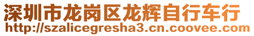 深圳市龍崗區龍輝自行車行