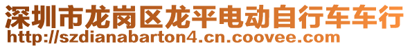 深圳市龍崗區龍平電動自行車車行