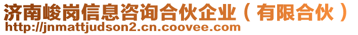 濟南峻崗信息咨詢合伙企業(yè)(有限合伙)
