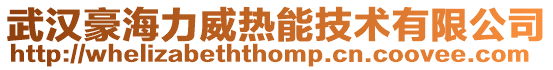 武漢豪海力威熱能技術有限公司