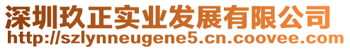 深圳玖正實業(yè)發(fā)展有限公司