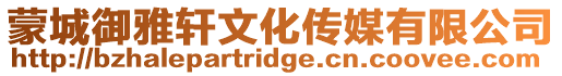 蒙城御雅軒文化傳媒有限公司