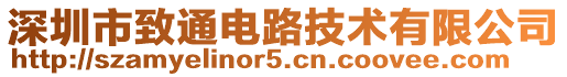 深圳市致通電路技術有限公司