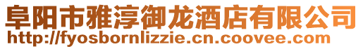 阜陽市雅淳御龍酒店有限公司