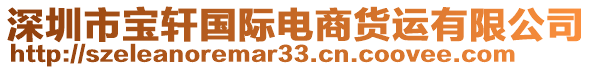 深圳市寶軒國際電商貨運有限公司