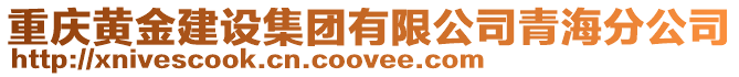 重慶黃金建設集團有限公司青海分公司