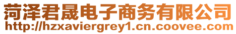 菏澤君晟電子商務有限公司