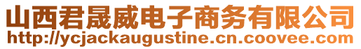 山西君晟威電子商務有限公司
