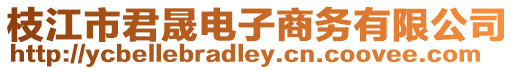 枝江市君晟電子商務(wù)有限公司