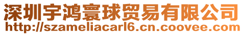 深圳宇鴻寰球貿易有限公司