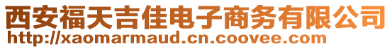 西安福天吉佳電子商務(wù)有限公司