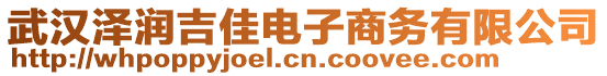 武漢澤潤吉佳電子商務(wù)有限公司