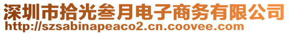 深圳市拾光叁月電子商務有限公司