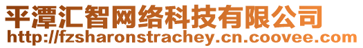 平潭匯智網(wǎng)絡(luò)科技有限公司