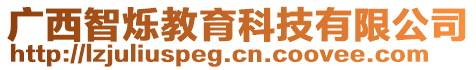 廣西智爍教育科技有限公司