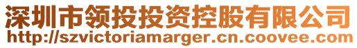 深圳市領(lǐng)投投資控股有限公司