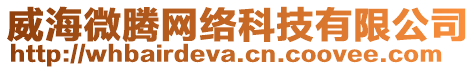 威海微騰網(wǎng)絡(luò)科技有限公司