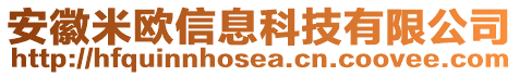 安徽米歐信息科技有限公司