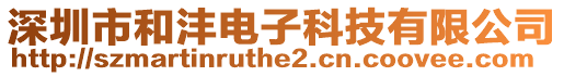 深圳市和灃電子科技有限公司