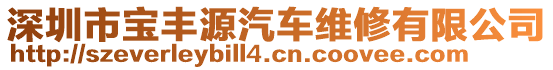 深圳市寶豐源汽車維修有限公司