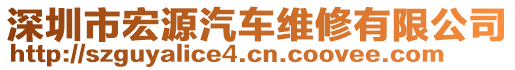 深圳市宏源汽車維修有限公司