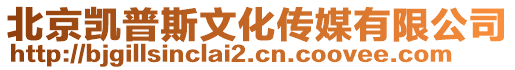 北京凱普斯文化傳媒有限公司