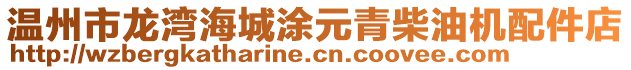 溫州市龍灣海城涂元青柴油機(jī)配件店