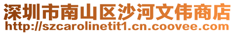 深圳市南山區(qū)沙河文偉商店